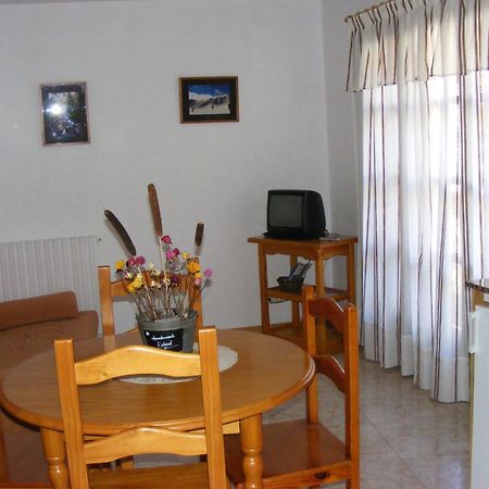 Apartaments L'Arrel Эспот Экстерьер фото